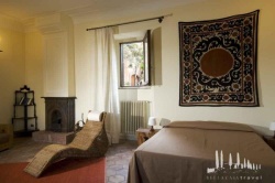 Galeriebild